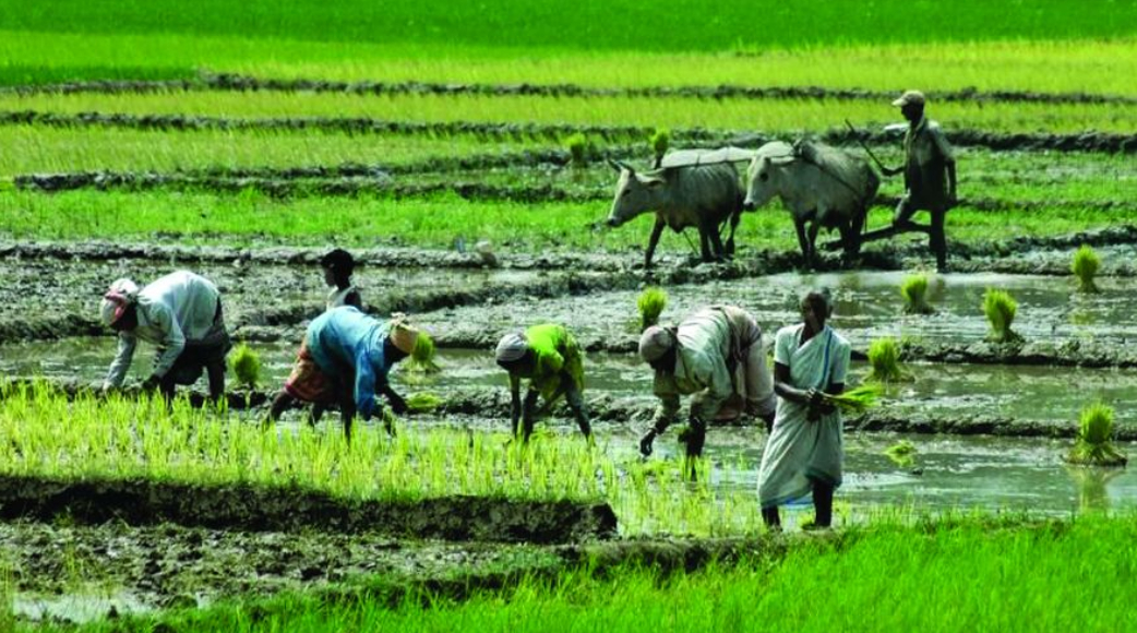 land reform measures in West Bengal