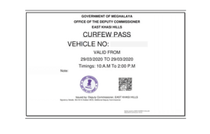 order a paper covid pass