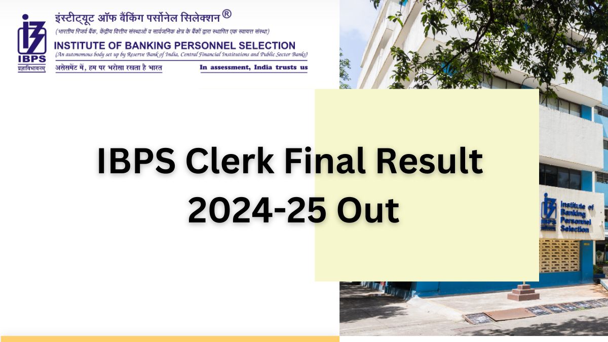 IBPS Clerk Final Result 2024-25 Out