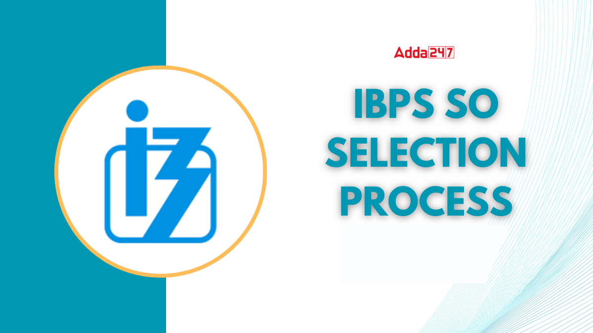 IBPS SO Selection Process 2026