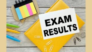 IBPS PO Mains Result 2025 Out, Phase 2 Result Direct Link