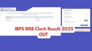 IBPS RRB Clerk Result 2025 Out @ibps.in, Check Prelims Result and Download Link