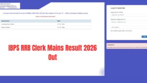 IBPS RRB Clerk Mains Result 2026 Out, Check Final Result at ibps.in