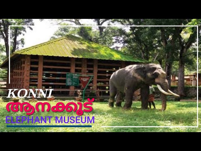 Sights of Pathanamthitta| Track to Kerala PSC and HCA| പത്തനംതിട്ടയുടെ കാഴ്ചകൾ - കേരളാ PSC, HCA എന്നിവയിലേക്ക് ട്രാക്ക് ചെയ്യുക_60.1
