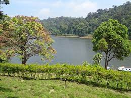 Sights of Pathanamthitta| Track to Kerala PSC and HCA| പത്തനംതിട്ടയുടെ കാഴ്ചകൾ - കേരളാ PSC, HCA എന്നിവയിലേക്ക് ട്രാക്ക് ചെയ്യുക_100.1