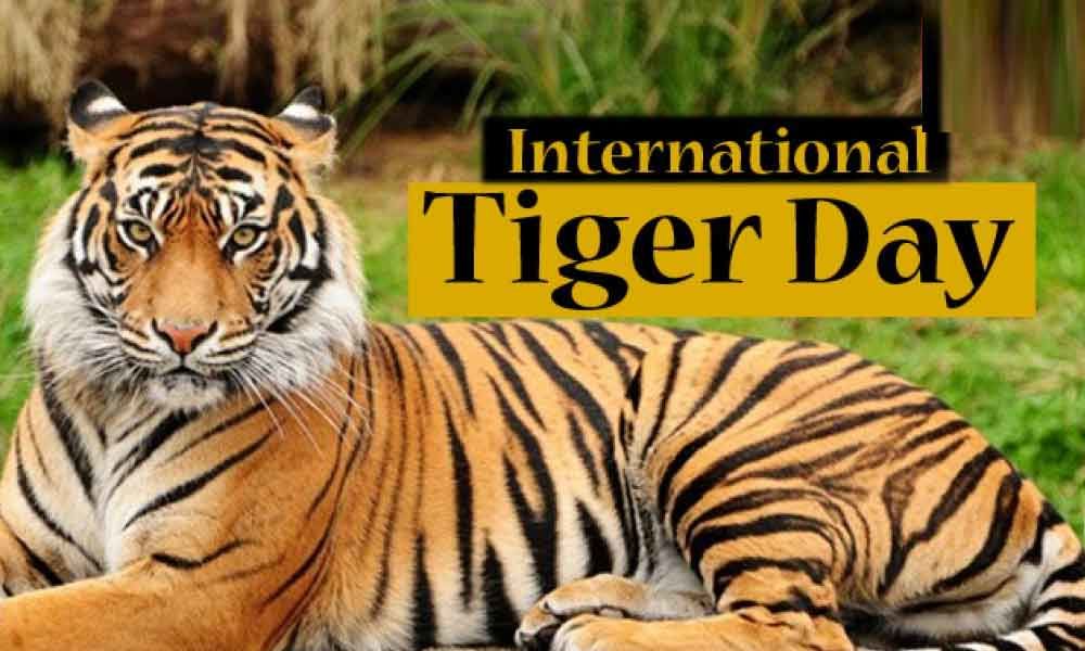 International Tiger Day: 29 July| അന്താരാഷ്ട്ര കടുവ ദിനം: ജൂലൈ 29_40.1