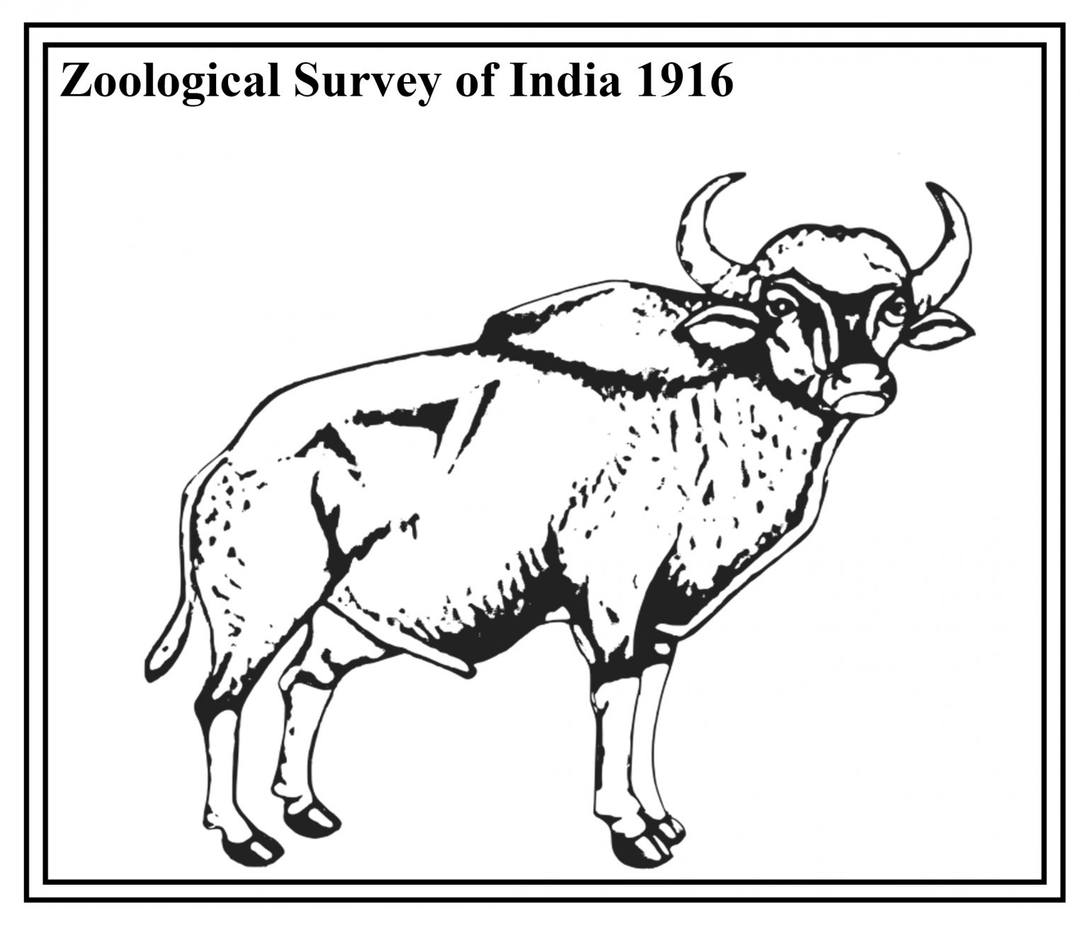 Zoological Survey of India gets 1st female director in 100 years| സുവോളജിക്കൽ സർവേ ഓഫ് ഇന്ത്യയ്ക്ക് 100 വർഷത്തിനിടെ ആദ്യ വനിതാ ഡയറക്ടർ ലഭിക്കുന്നു_40.1