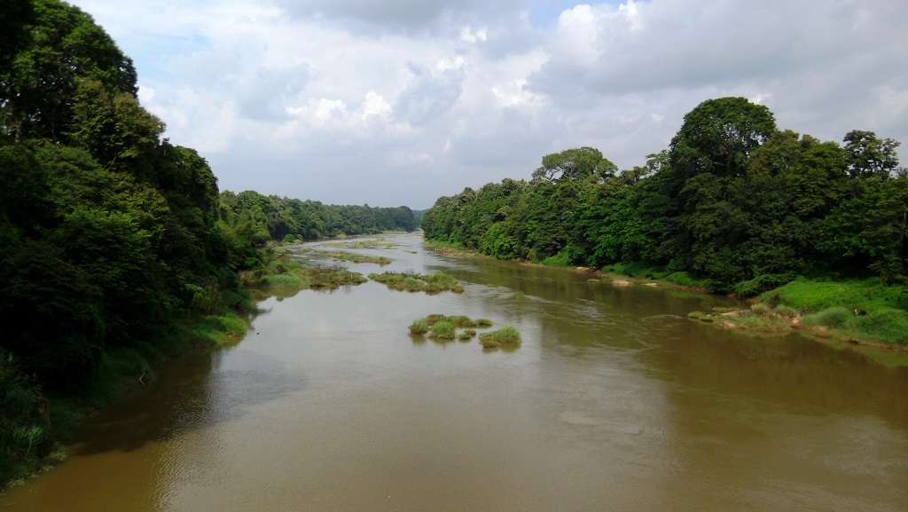 കേരളത്തിലെ 10 മനോഹരമായ നദികൾ(10 Beautiful Rivers in Kerala) | KPSC & HCA Study Material_80.1