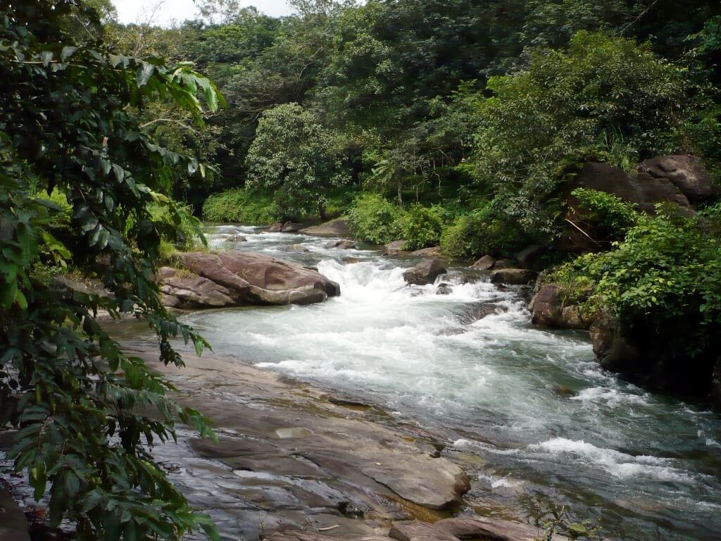 കേരളത്തിലെ 10 മനോഹരമായ നദികൾ(10 Beautiful Rivers in Kerala) | KPSC & HCA Study Material_120.1