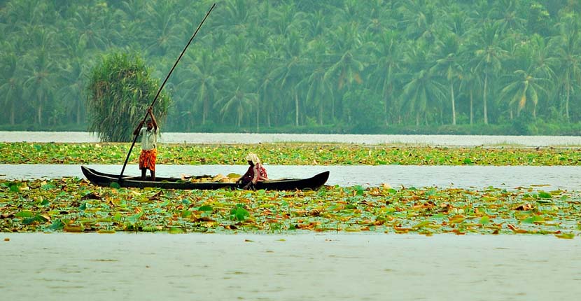 കേരളത്തിലെ 10 പ്രശസ്തമായ തടാകങ്ങൾ (10 Popular Lakes in Kerala )_110.1