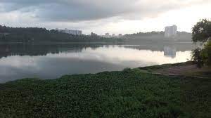 കേരളത്തിലെ 10 പ്രശസ്തമായ തടാകങ്ങൾ (10 Popular Lakes in Kerala )_120.1