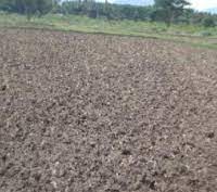 കേരളത്തിലെ വിവിധ തരം മണ്ണുകൾ (Types of Soil in Kerala)_120.1