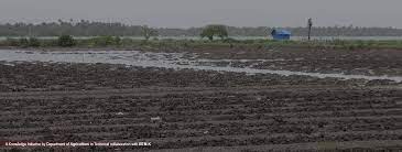 കേരളത്തിലെ വിവിധ തരം മണ്ണുകൾ (Types of Soil in Kerala)_90.1