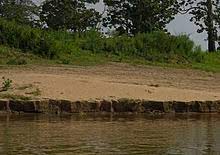 കേരളത്തിലെ വിവിധ തരം മണ്ണുകൾ (Types of Soil in Kerala)_80.1