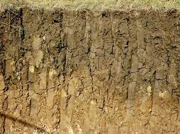 കേരളത്തിലെ വിവിധ തരം മണ്ണുകൾ (Types of Soil in Kerala)_110.1