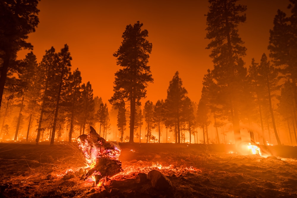 പ്രകൃതി ദുരന്തങ്ങളുടെ തരങ്ങൾ (Types Of Natural Disasters)_120.1