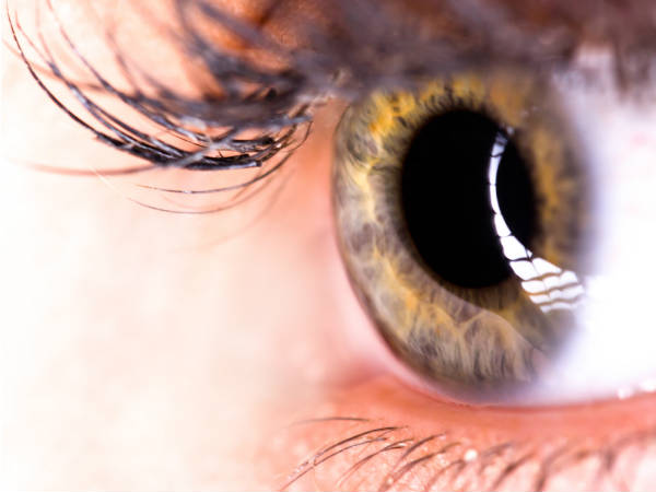 COMMON EYE PROBLEMS (സാധാരണ നേത്ര പ്രശ്നങ്ങൾ)| KPSC & HCA Study Material_80.1