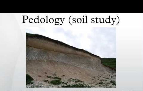 Study of the soil (മണ്ണിനെ കുറിച്ചുള്ള പഠനം) | KPSC & HCA Study Material_40.1