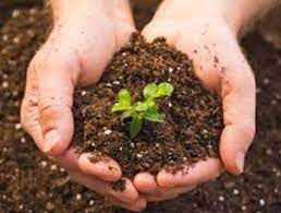 Study of the soil (മണ്ണിനെ കുറിച്ചുള്ള പഠനം) | KPSC & HCA Study Material_60.1