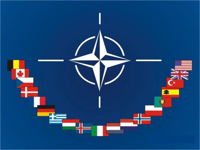 North Atlantic Treaty Organization (NATO)