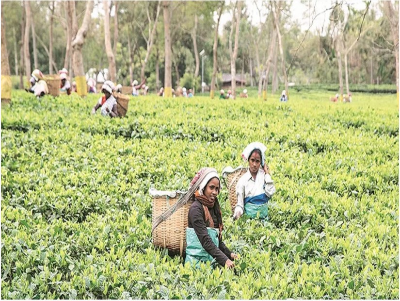 Daily Current Affairs in Malayalam 2022 | 12 March 2022_60.1