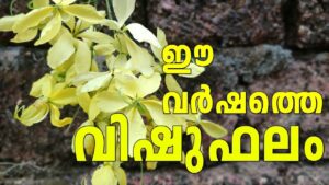 Vishu in Kerala 2022: History, Significance & Celebrations_90.1