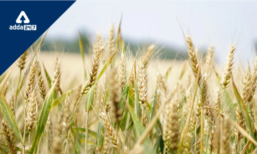 Andhra Pradesh emerges as winner in Utilisation of Agri-Infra funds