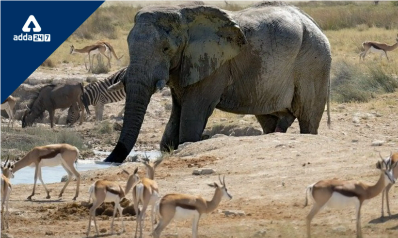 Wild Life (Protection) Amendment Bill, 2021 approved by Lok Sabha