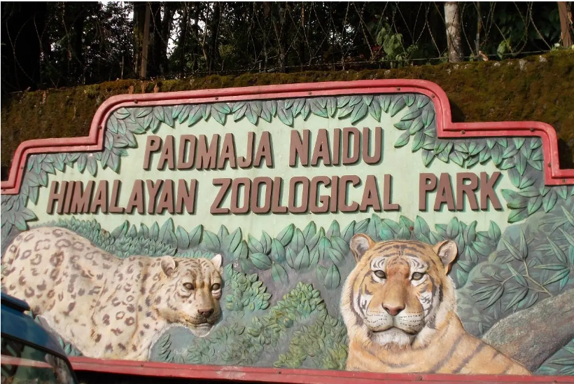 Padmaja Naidu Himalayan Zoological Park in Darjeeling recognised as best zoo