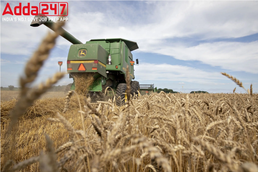 Rice, Wheat Push Up The Inflation