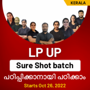LP UP Sure Shot Batch