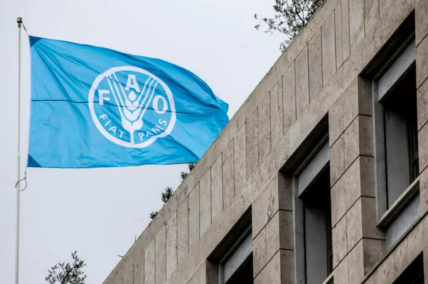 State of Food and Agriculture Report 2022 Published by FAO