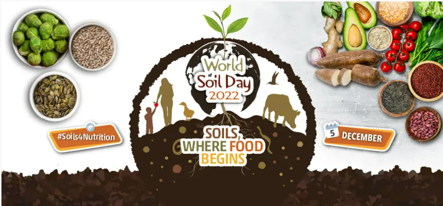 World Soil Day observed on 5th December