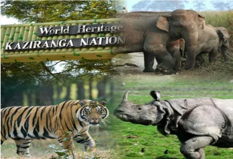Assam Grants Industry Status to Its Tourism Sector
