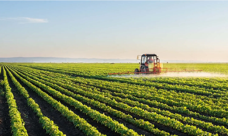 Punjab Ranks 2nd in Average Monthly Income Per Agricultural Household: Govt