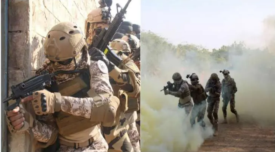 1st Edition of Indo-Egypt Joint Training Exercise Cyclone – I begins