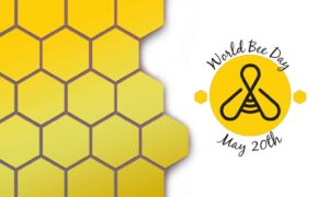 World Bee Day observed globally on 20th May | 20 मे रोजी जागतिक मधमाशी दिन साजरा केला जातो_2.1