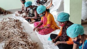 TRIFED and NITI AAYOG to partner to implement the Van Dhan Yojana | वन धन योजना राबविण्यासाठी ट्रायफिड व नीती आयोग यांची भागीदारी_2.1