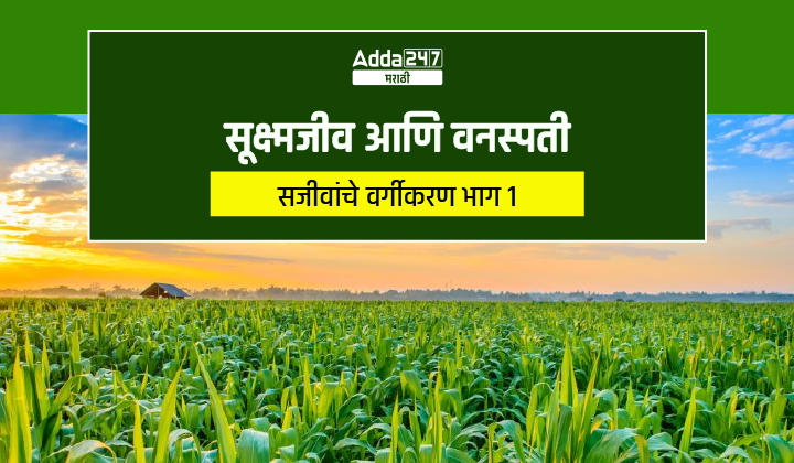 सूक्ष्मजीव आणि वनस्पती