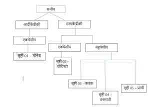 Classification of Living Organisms Part 1-Microorganisms and Plants_50.1