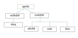 Classification of Living Organisms Part 1-Microorganisms and Plants_90.1