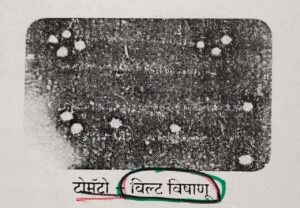 Classification of Living Organisms Part 1-Microorganisms and Plants_130.1
