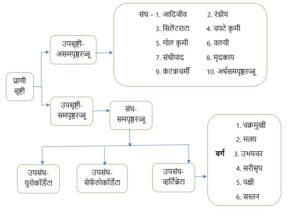 सजीवांचे वर्गीकरण भाग 2 - प्राणी | Classification of Living Organisms Part 2- Animals_50.1
