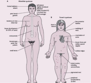 मानवी रोग: रोगांचे वर्गीकरण आणि रोगांचे कारणे | Classification of Diseases and Causes of Diseases_310.1