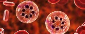 मानवी रोग: रोगांचे वर्गीकरण आणि रोगांचे कारणे | Classification of Diseases and Causes of Diseases_230.1