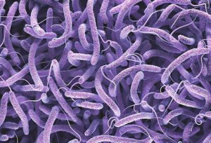 मानवी रोग: रोगांचे वर्गीकरण आणि रोगांचे कारणे | Classification of Diseases and Causes of Diseases_170.1