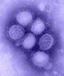 मानवी रोग: रोगांचे वर्गीकरण आणि रोगांचे कारणे | Classification of Diseases and Causes of Diseases_120.1