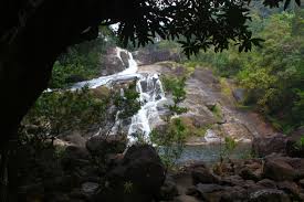 Top 10 Highest Waterfalls in India | भारतातील 10 सर्वात उंच धबधबे_110.1
