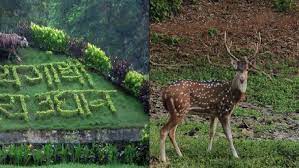 Forests in Maharashtra | महाराष्ट्रातील वने व वनांचे प्रकार आणि अभयारण्ये_80.1