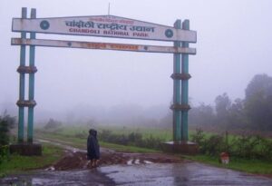 Forests in Maharashtra | महाराष्ट्रातील वने व वनांचे प्रकार आणि अभयारण्ये_100.1